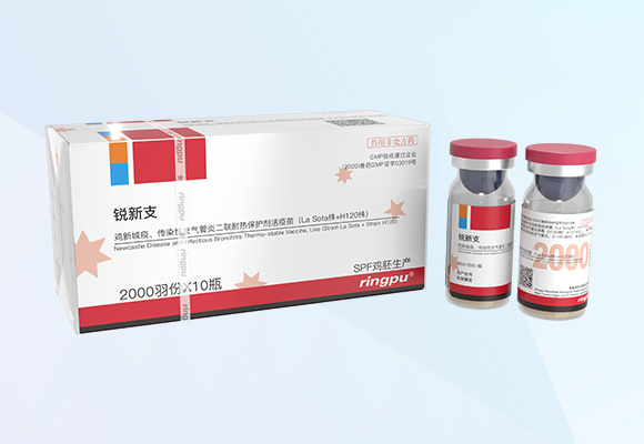 w88winÓŵÂ(Öйú)ÓÐÏÞ¹«Ë¾