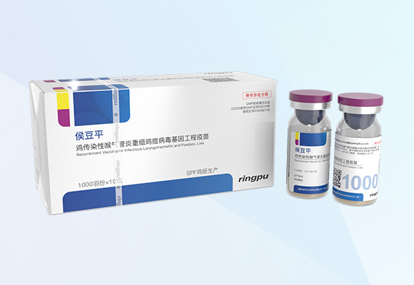 w88winÓŵÂ(Öйú)ÓÐÏÞ¹«Ë¾