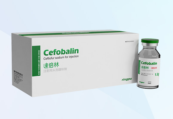 w88winÓŵÂ(Öйú)ÓÐÏÞ¹«Ë¾