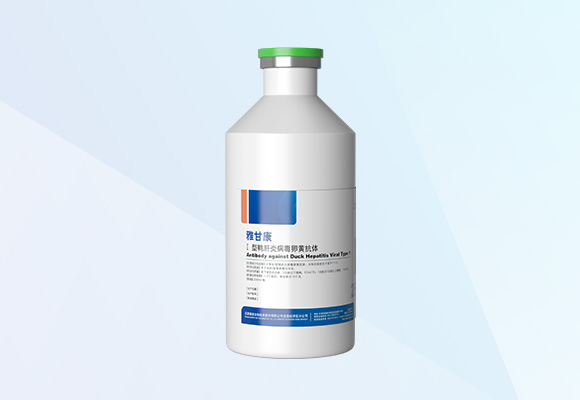 w88winÓŵÂ(Öйú)ÓÐÏÞ¹«Ë¾