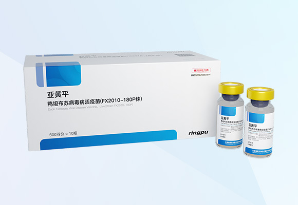 w88winÓŵÂ(Öйú)ÓÐÏÞ¹«Ë¾