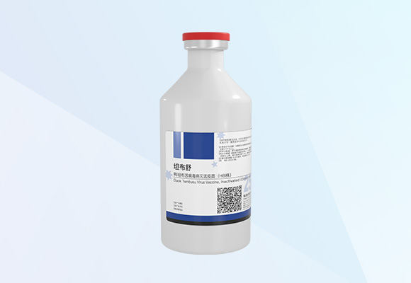 w88winÓŵÂ(Öйú)ÓÐÏÞ¹«Ë¾