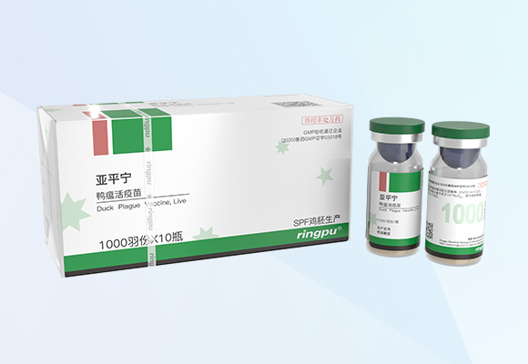 w88winÓŵÂ(Öйú)ÓÐÏÞ¹«Ë¾