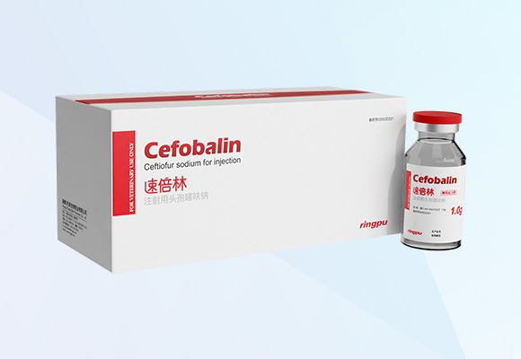 w88winÓŵÂ(Öйú)ÓÐÏÞ¹«Ë¾