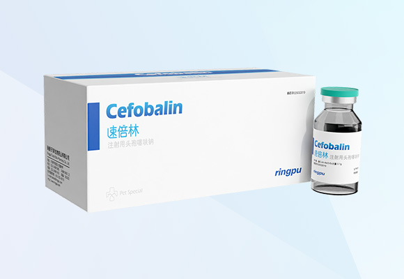 w88winÓŵÂ(Öйú)ÓÐÏÞ¹«Ë¾