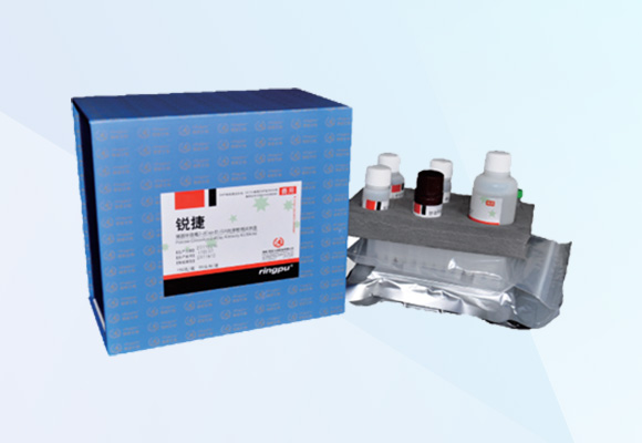 w88winÓŵÂ(Öйú)ÓÐÏÞ¹«Ë¾