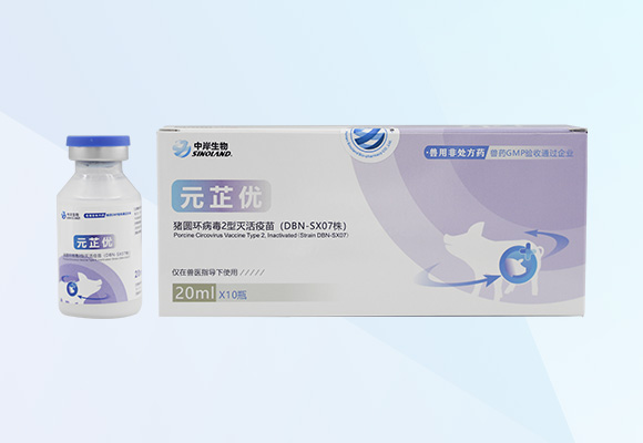 w88winÓŵÂ(Öйú)ÓÐÏÞ¹«Ë¾