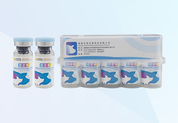 w88winÓŵÂ(Öйú)ÓÐÏÞ¹«Ë¾