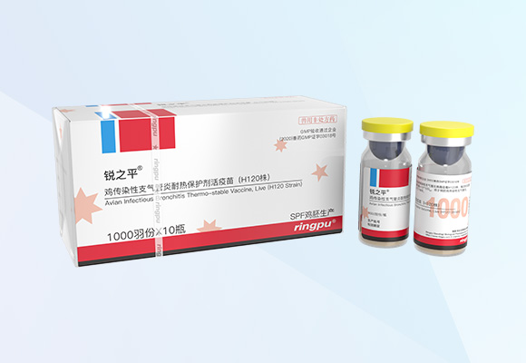 w88winÓŵÂ(Öйú)ÓÐÏÞ¹«Ë¾