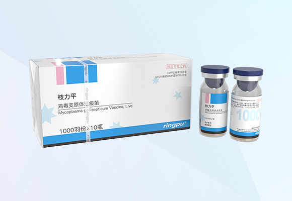 w88winÓŵÂ(Öйú)ÓÐÏÞ¹«Ë¾