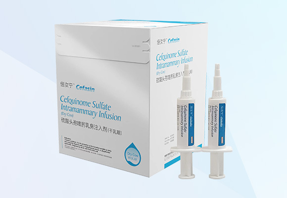 w88winÓŵÂ(Öйú)ÓÐÏÞ¹«Ë¾