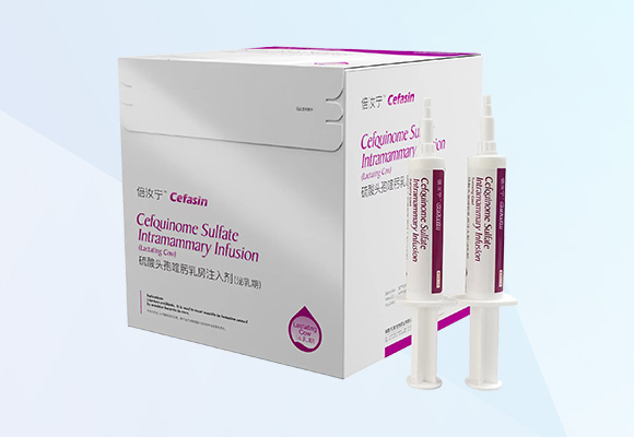 w88winÓŵÂ(Öйú)ÓÐÏÞ¹«Ë¾