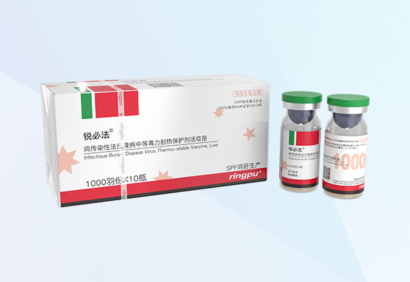 w88winÓŵÂ(Öйú)ÓÐÏÞ¹«Ë¾