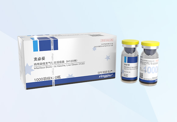 w88winÓŵÂ(Öйú)ÓÐÏÞ¹«Ë¾