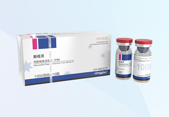 w88winÓŵÂ(Öйú)ÓÐÏÞ¹«Ë¾