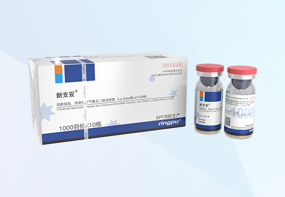 w88winÓŵÂ(Öйú)ÓÐÏÞ¹«Ë¾