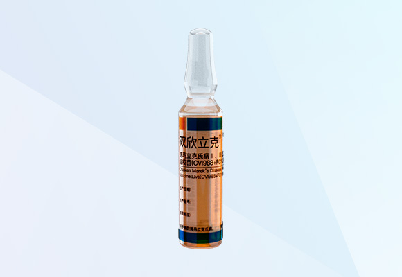 w88winÓŵÂ(Öйú)ÓÐÏÞ¹«Ë¾