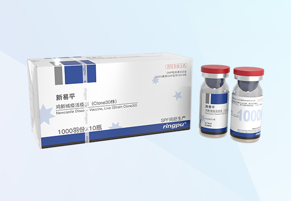 w88winÓŵÂ(Öйú)ÓÐÏÞ¹«Ë¾