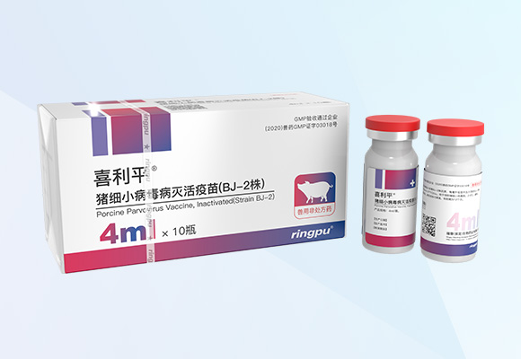 w88winÓŵÂ(Öйú)ÓÐÏÞ¹«Ë¾