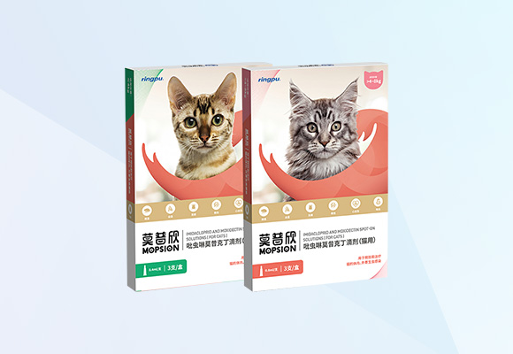 w88winÓŵÂ(Öйú)ÓÐÏÞ¹«Ë¾