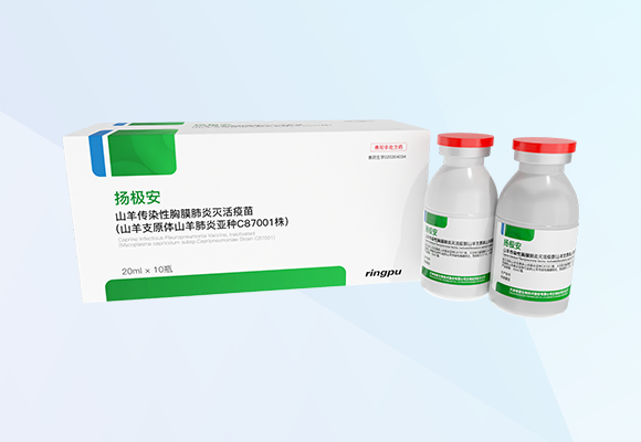 w88winÓŵÂ(Öйú)ÓÐÏÞ¹«Ë¾