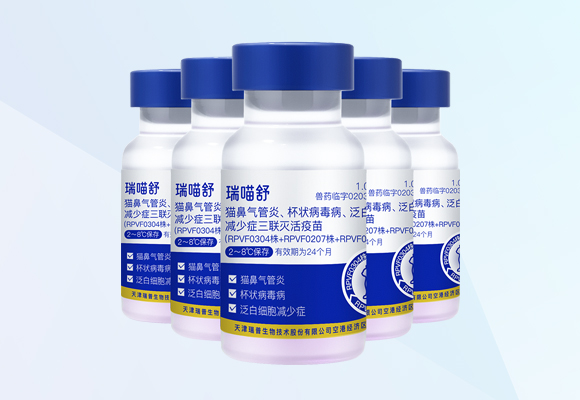 w88winÓŵÂ(Öйú)ÓÐÏÞ¹«Ë¾